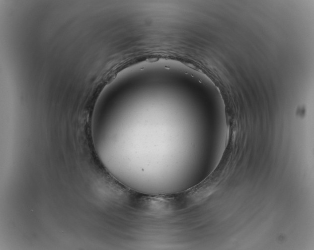 X0000091510229200708171202