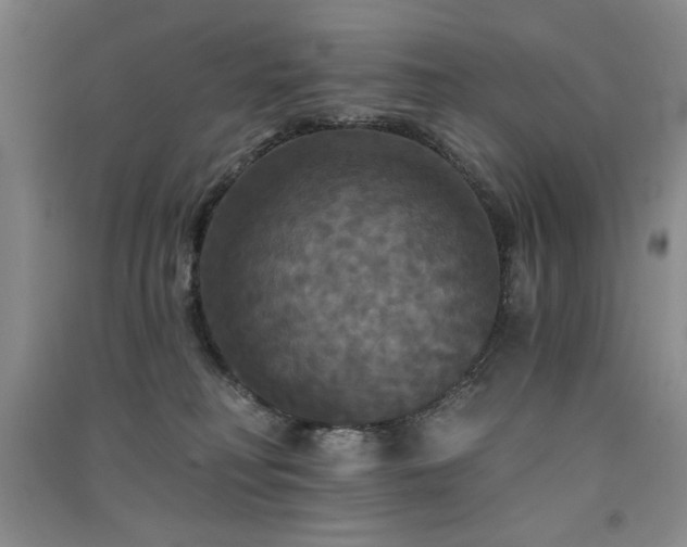 X0000091510230200708171202