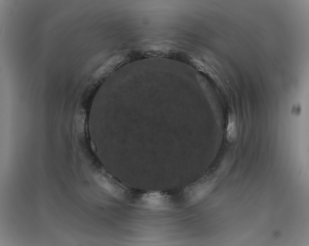 X0000091510231200708171202