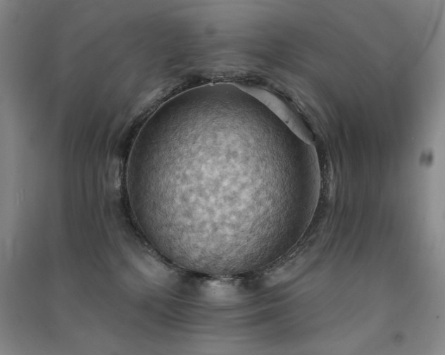 X0000091510232200708171202