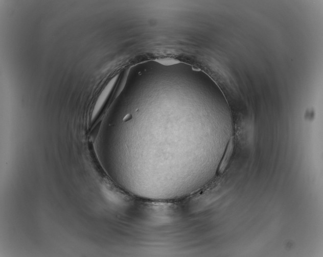 X0000091510233200708171202