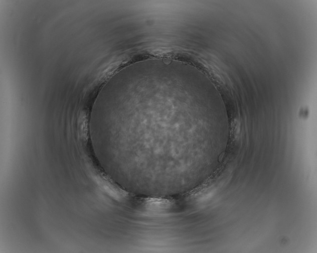 X0000091510234200708171202