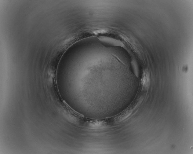 X0000091510235200708171202