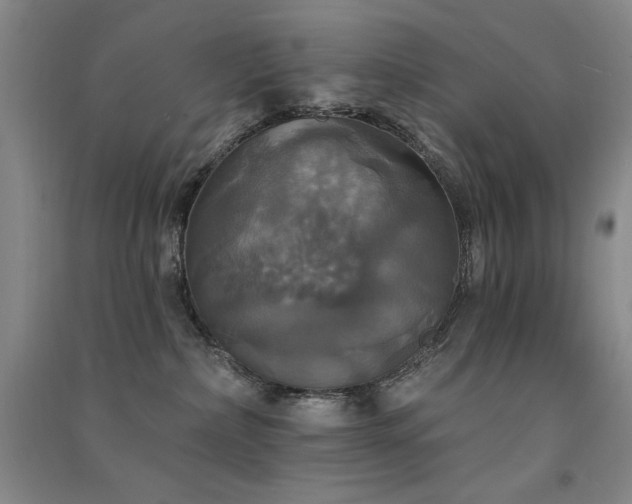 X0000091510236200708171202
