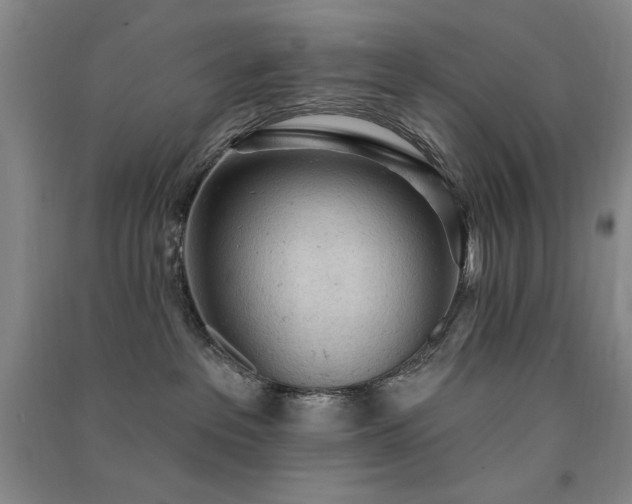 X0000091510237200708171202