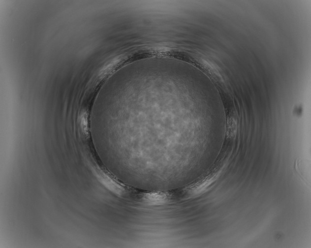 X0000091510238200708171202