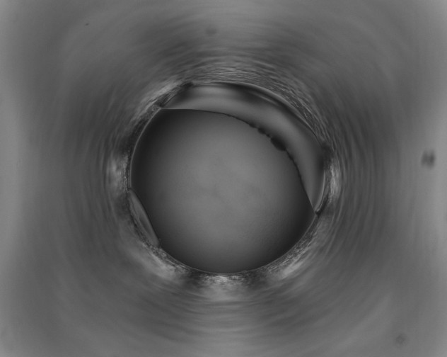 X0000091510239200708171202