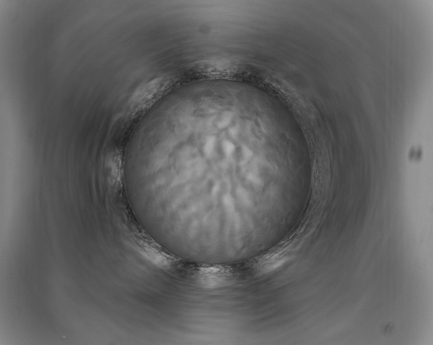 X0000091510240200708171202