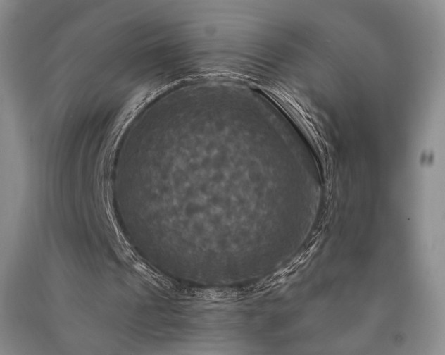 X0000091510241200708171201