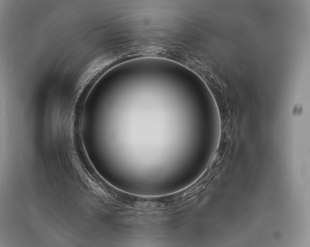 X0000091510242200708171201