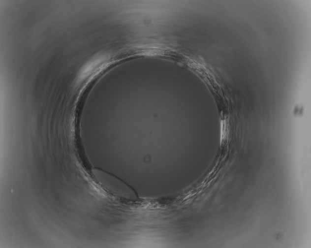 X0000091510243200708171201