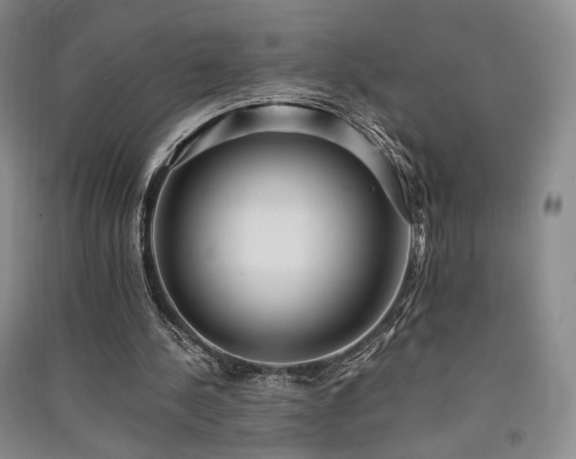 X0000091510244200708171201