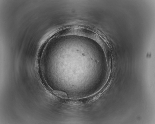 X0000091510245200708171201
