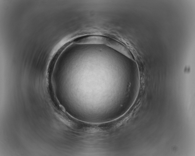X0000091510246200708171201