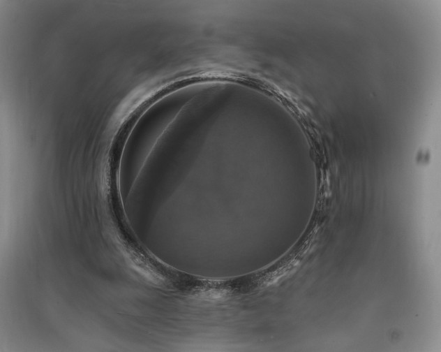 X0000091510247200708171201
