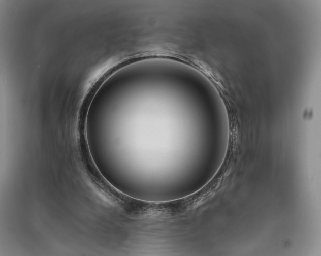 X0000091510248200708171201