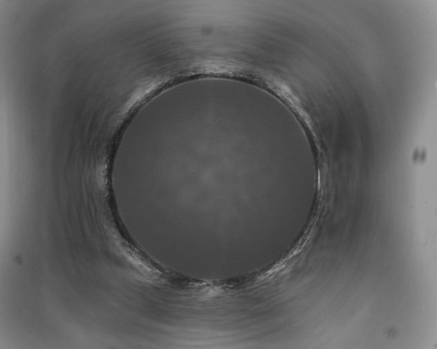 X0000091510249200708171201