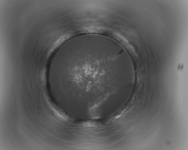 X0000091510250200708171201