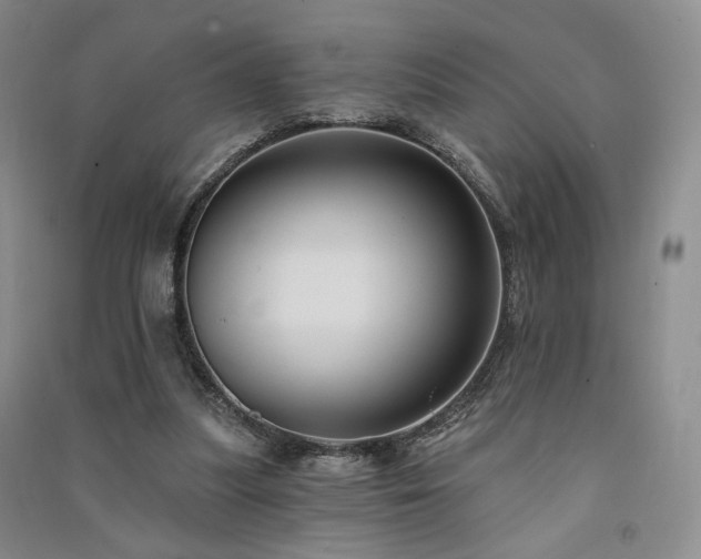 X0000091510251200708171201