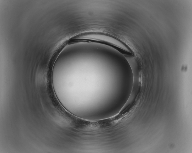 X0000091510252200708171201