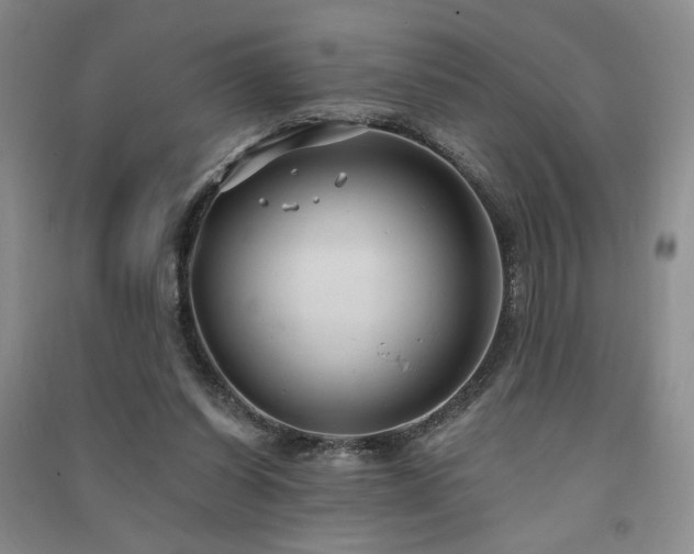 X0000091510254200708171201