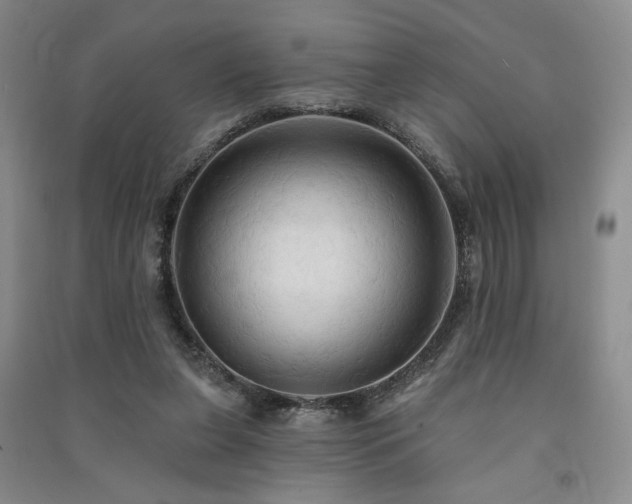 X0000091510255200708171201