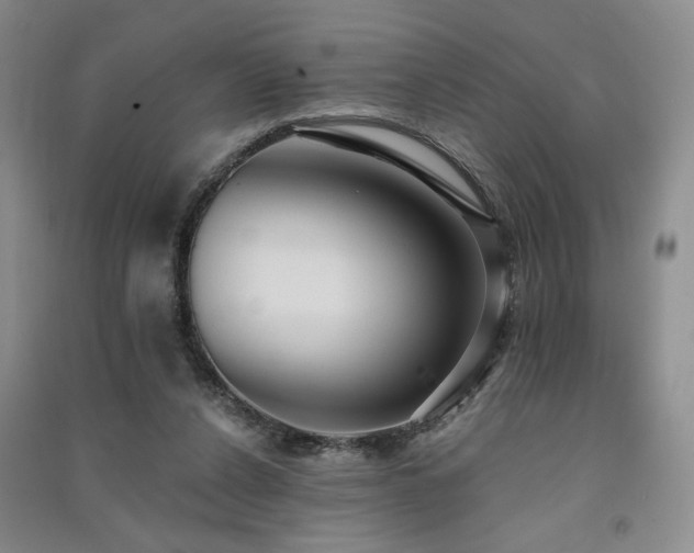 X0000091510256200708171201