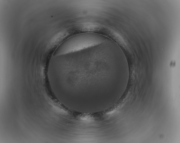 X0000091510258200708171201