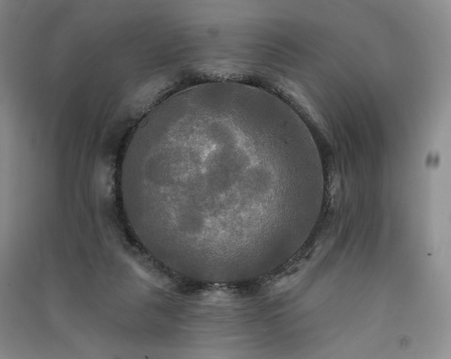 X0000091510259200708171201