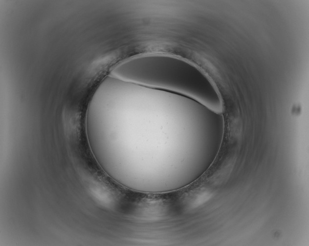 X0000091510260200708171201
