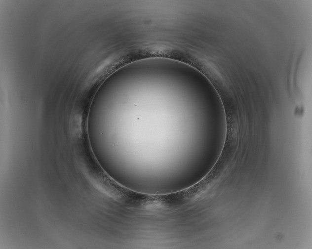 X0000091510262200708171201