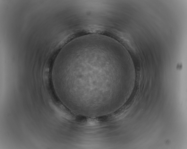 X0000091510263200708171201