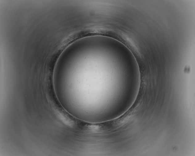 X0000091510265200708171201