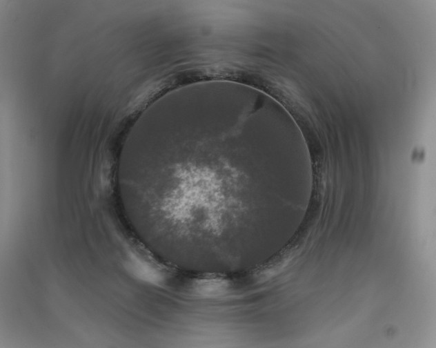 X0000091510266200708171201