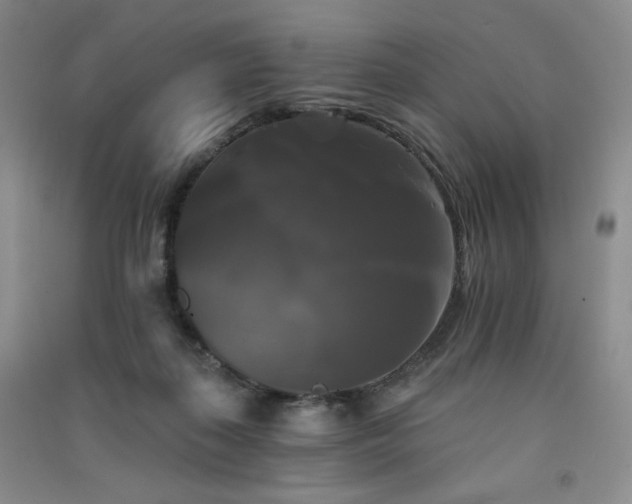 X0000091510267200708171201