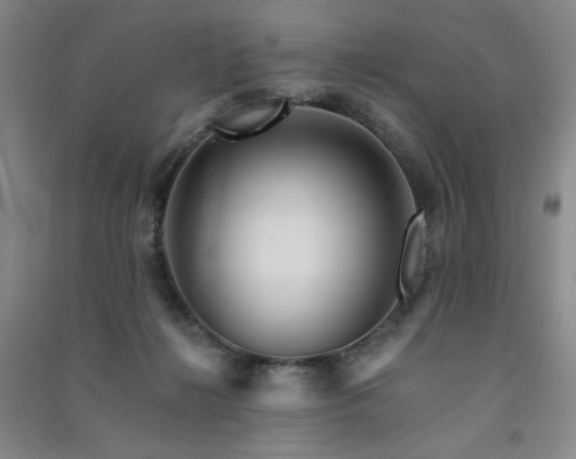 X0000091510268200708171202