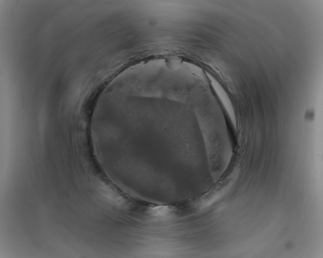 X0000091510269200708171202