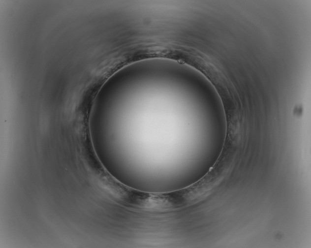 X0000091510270200708171202