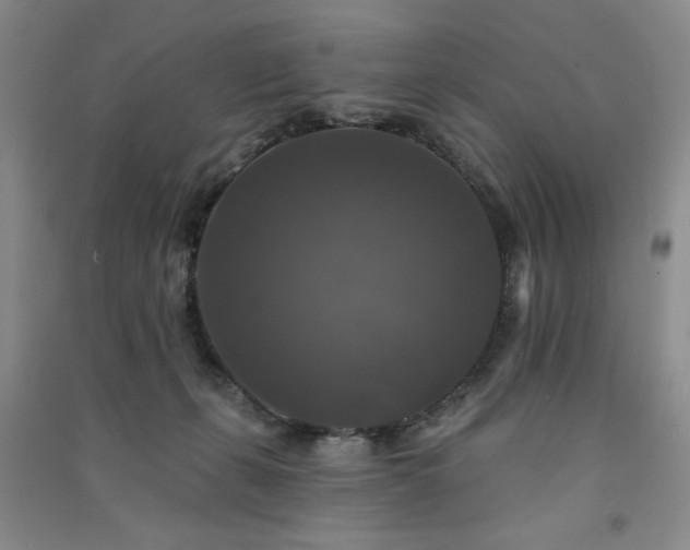 X0000091510271200708171202