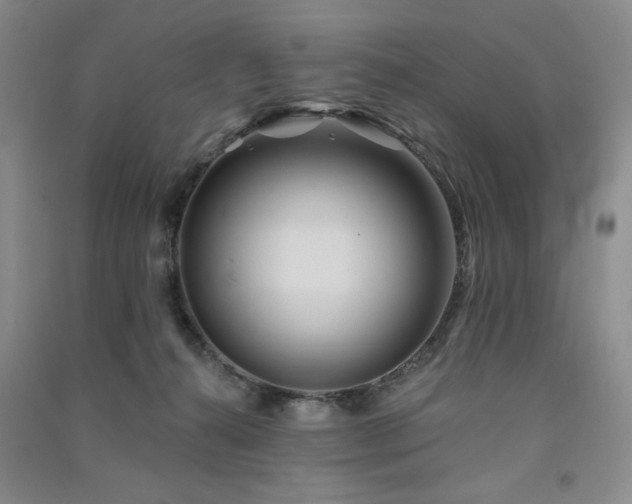 X0000091510272200708171202