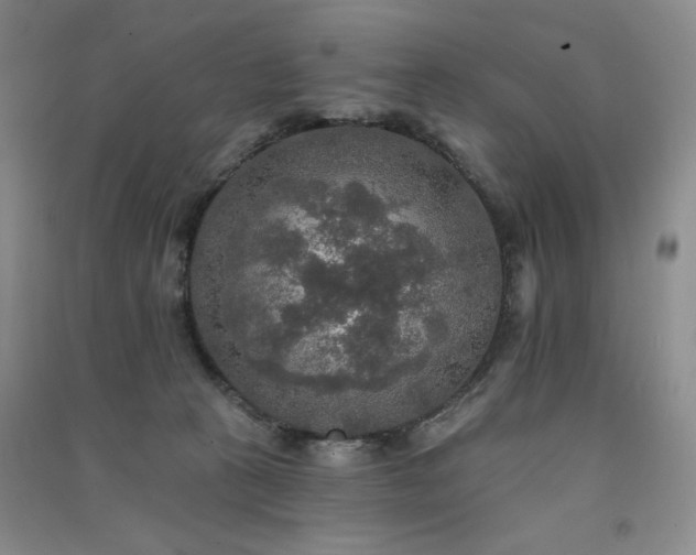 X0000091510273200708171202