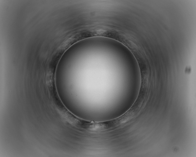 X0000091510274200708171202