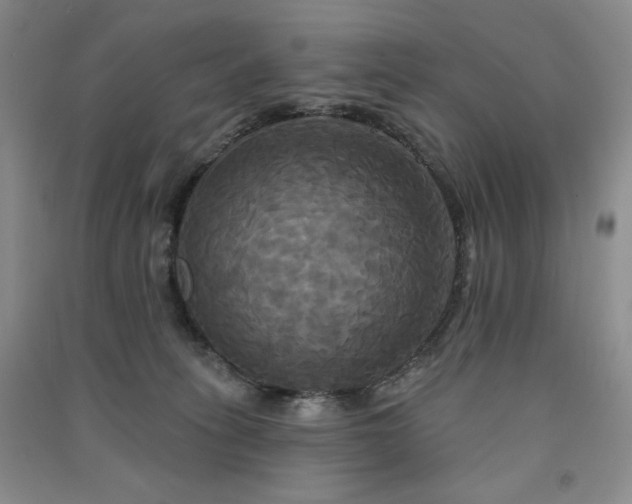 X0000091510275200708171202