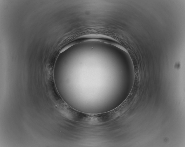 X0000091510276200708171202