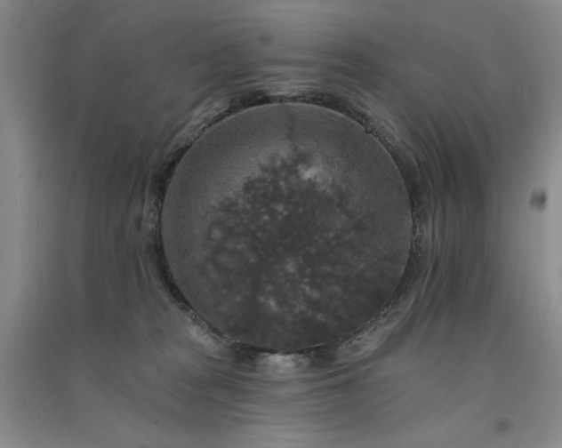 X0000091510277200708171202