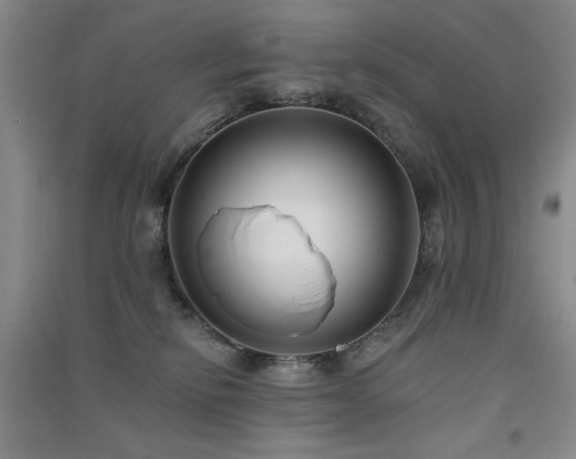 X0000091510278200708171202
