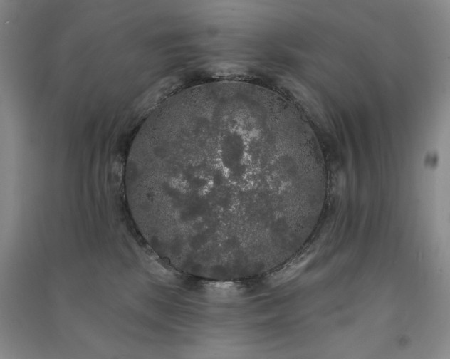 X0000091510281200708171202