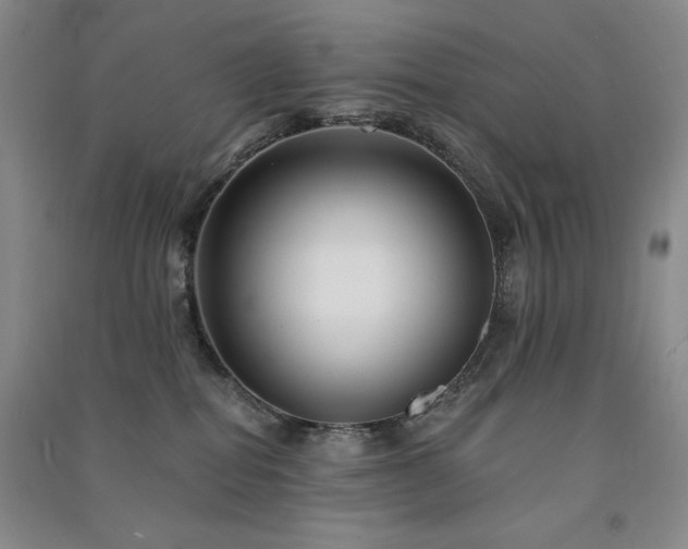 X0000091510282200708171202