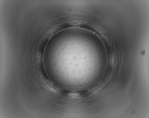 X0000091510283200708171202