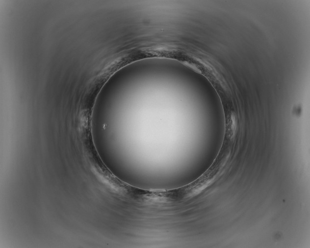 X0000091510284200708171202
